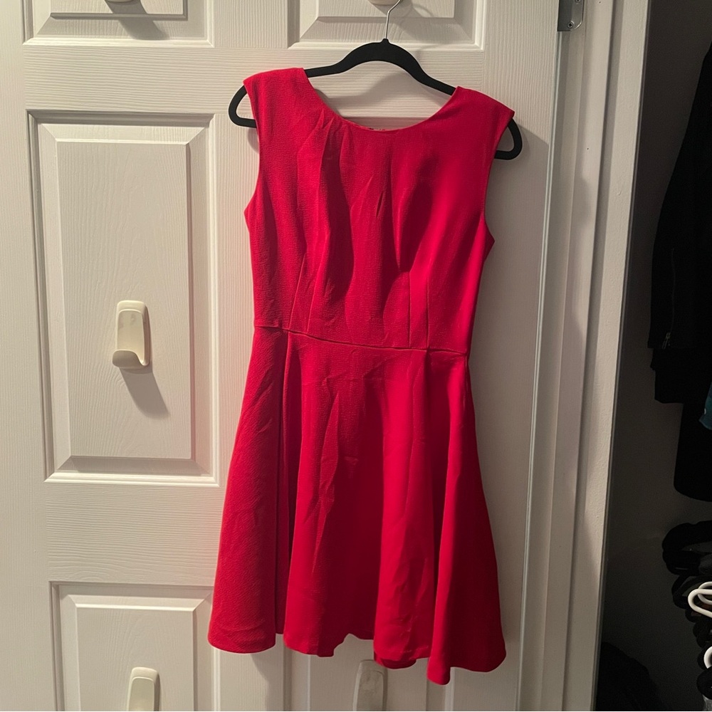 The Limited Scarlet Mini Dress